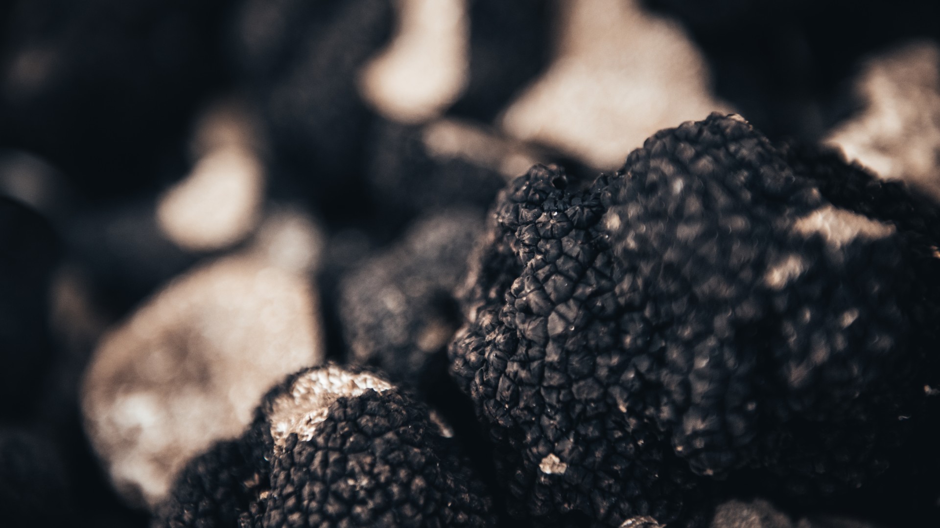 Recette d'oeuf poché à la truffe