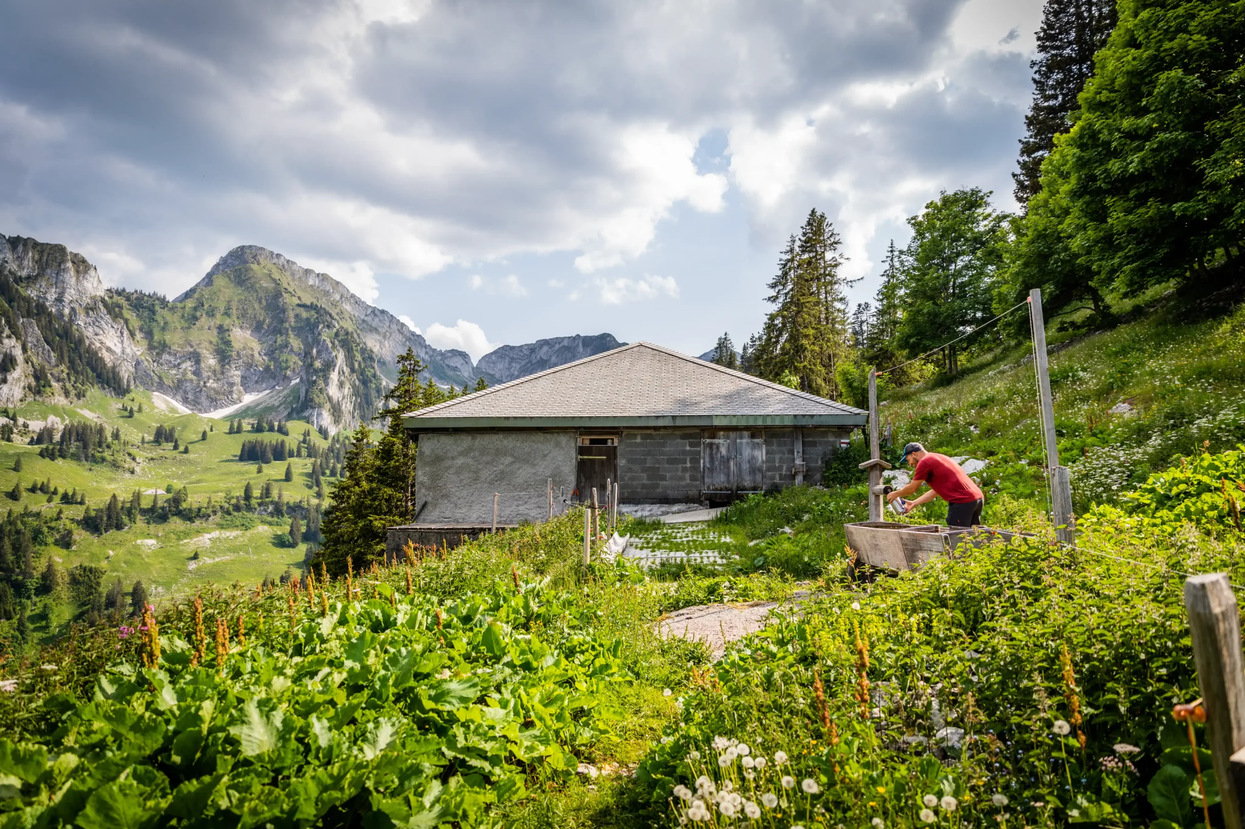 Alpine restaurants