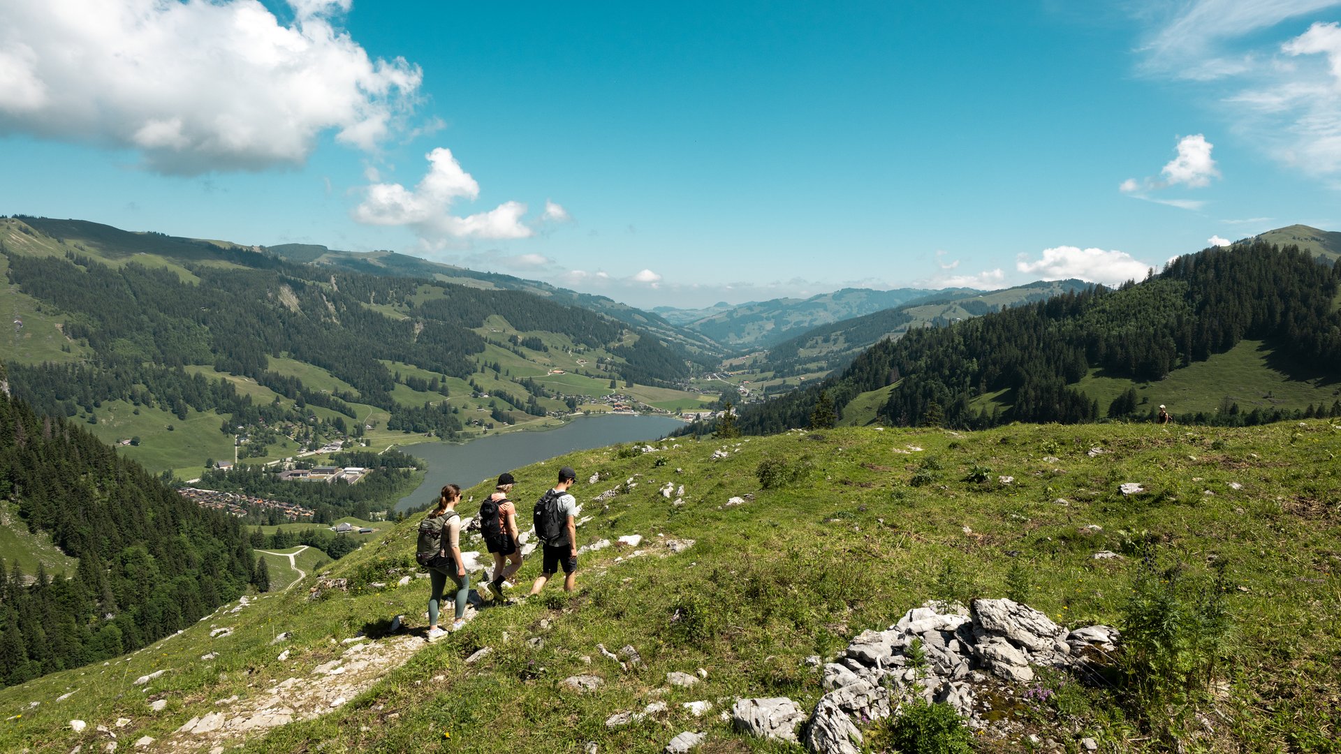 Hiking